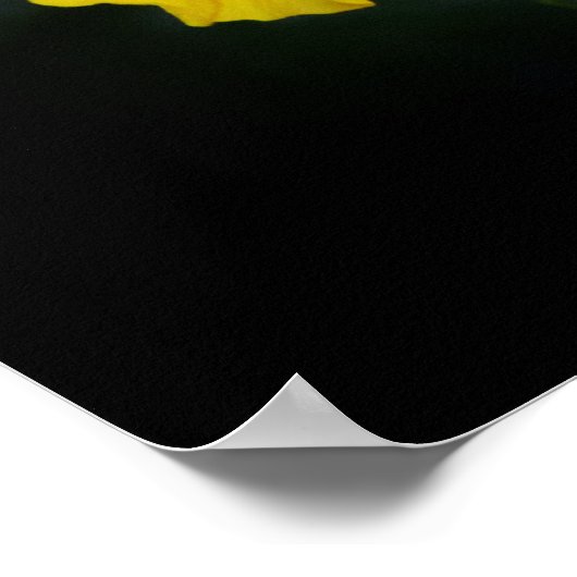 Psalm 27:4 Hibiscus op zwart Poster (Hoek)