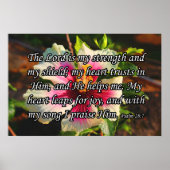 Psalm 28:7, Hibiscus Poster (Voorkant)