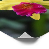 Psalm 29:11 Christelijke Bijbelversie-scripts Poster (Hoek)