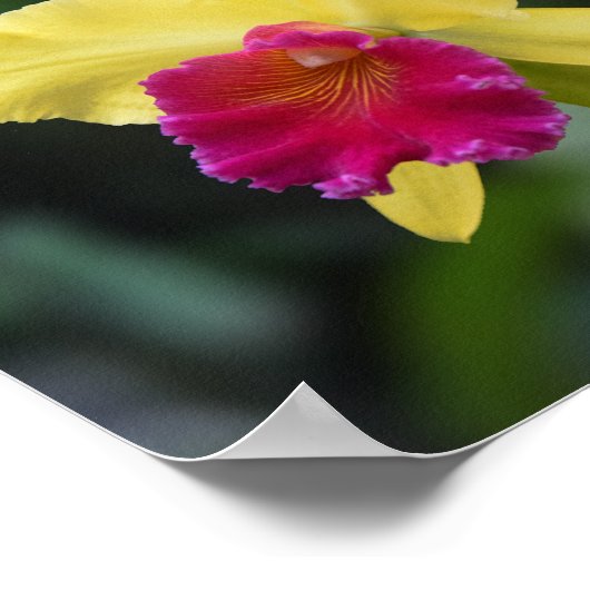 Psalm 29:11 Christelijke Bijbelversie-scripts Poster (Hoek)