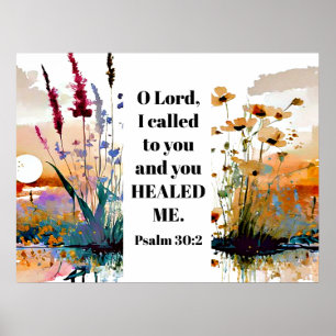 Psalm 30 2 O Heer, ik heb tot U geroepen en U hebt Poster