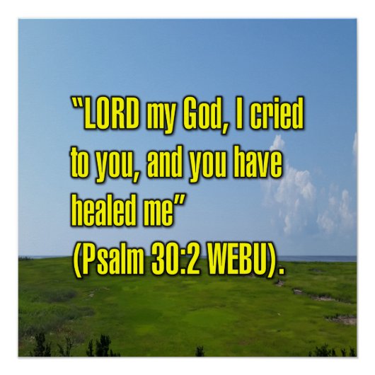 Psalm 30:2 WEBU Perfect Poster (Voorkant)