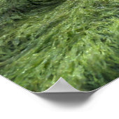 Psalm 30:5-weeping kan duren door de NIght Poster (Hoek)