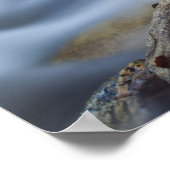 Psalm 32:2 Poster (Hoek)