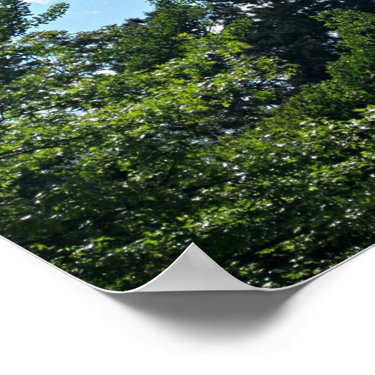 Psalm 32:8 Ik zal je instrueren en je leren Poster (Hoek)