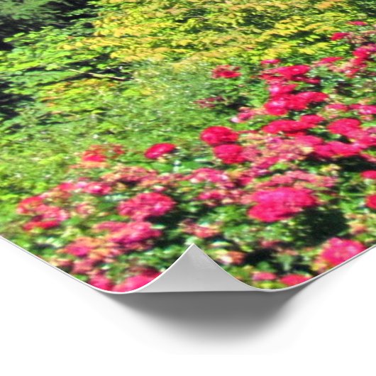 Psalm 33:5 De aarde is vol van de goedheid van... Poster (Hoek)