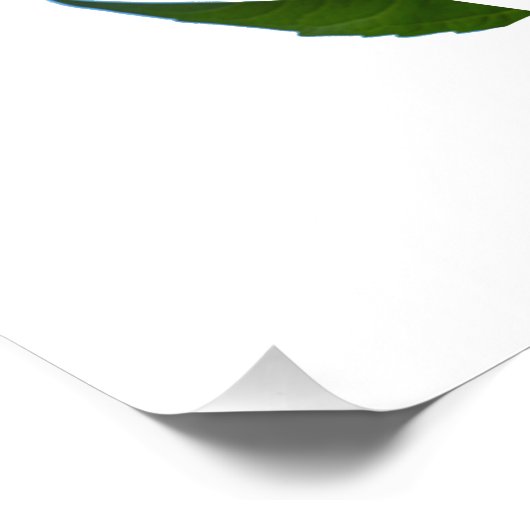 Psalm 33: Vriendelijkheid Foto Afdruk (Hoek)