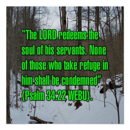 Psalm 34:22 WEBU Perfect Poster (Voorkant)