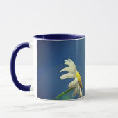 Psalm 34:5 Wie naar Hem kijkt, is een stralende Bi Mok (Links)