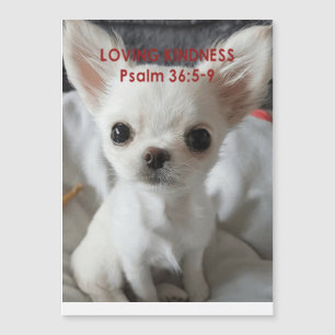 Psalm 36 Chihuahua Uitnodigingen Magnetische Uitnodiging
