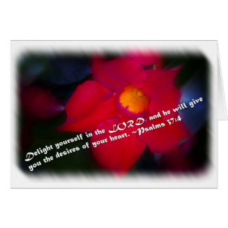 Psalm 37:4 over het wit