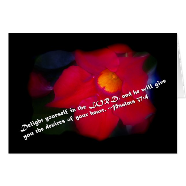 Psalm 37:4 over zwart (Voorkant Horizontaal)