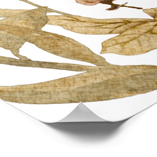 Psalm 37:4: Vermaak u ook in de Heer Poster (Hoek)