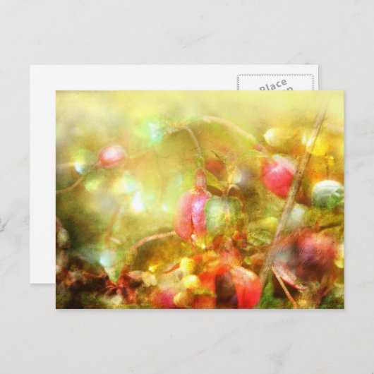 Psalm 37 briefkaart (Voorkant / Achterkant)