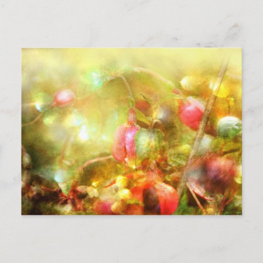 Psalm 37 briefkaart (Voorkant)