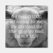 Psalm 3:3 Sheep Background Magneet (Voorkant)