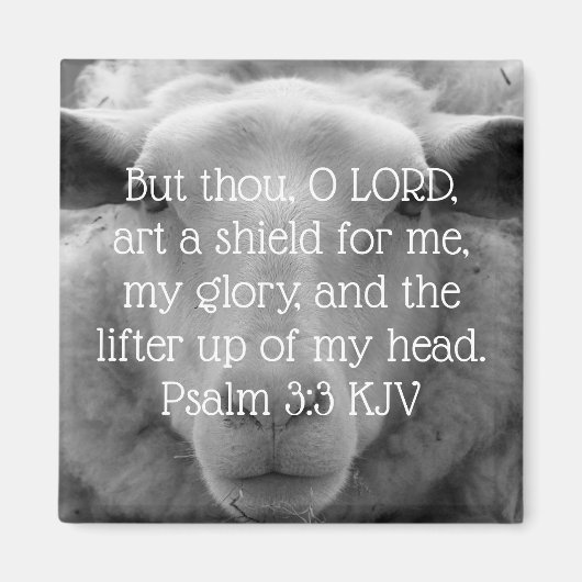 Psalm 3:3 Sheep Background Magneet (Voorkant)