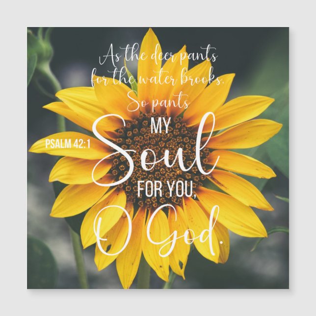Psalm 42:1 Als de Herten Christelijk Bijbel Zonneb (Voorkant)
