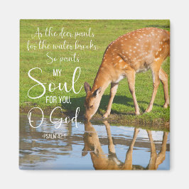 Psalm 42:1 Als de Hertenbroek voor de Waterbijbel Magneet