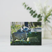 Psalm 42:1 en Deer Briefkaart (Staand voorkant)