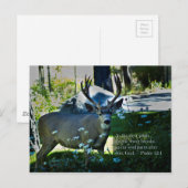 Psalm 42:1 en Deer Briefkaart (Voorkant / Achterkant)