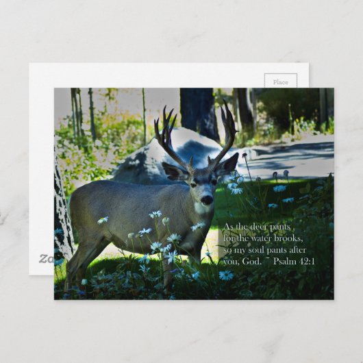 Psalm 42:1 en Deer Briefkaart (Voorkant / Achterkant)