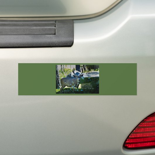 Psalm 42:1 en Deer Bumpersticker (Op auto)