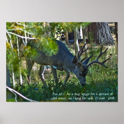 Psalm 42:1 poster (Voorkant)