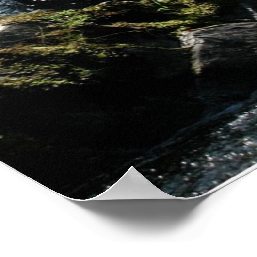 Psalm 42:1 Poster (Hoek)