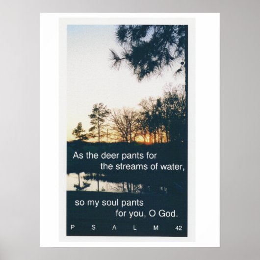 Psalm 42:1 sunset poster (Voorkant)