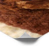 Psalm 46:10 Alpaca-Poster Poster (Hoek)