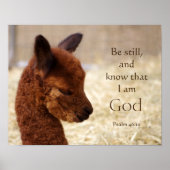Psalm 46:10 Alpaca-Poster Poster (Voorkant)