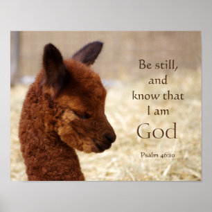 Psalm 46:10 Alpaca-Poster Poster
