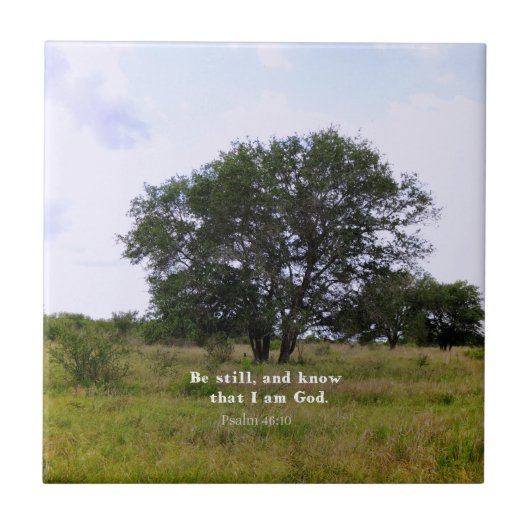 Psalm 46:10 Inspirerend Bijbelprijsopgave Tegeltje (Voorkant)