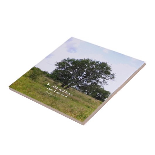 Psalm 46:10 Inspirerend Bijbelprijsopgave Tegeltje (Zijkant)