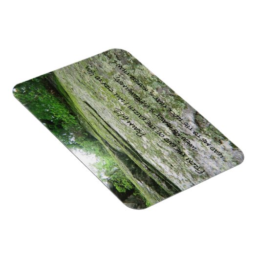 Psalm 61 mossy boulder magneet (Rechterzijde)