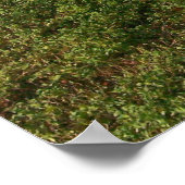 Psalm 62:8 Psalm van Poster van aanmoediging (Hoek)