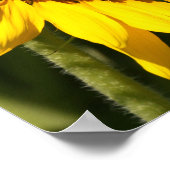 Psalm 62 - Vertrouwen in Gods Bescherming Poster (Hoek)