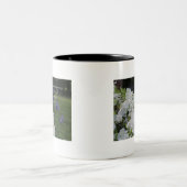 Psalm 63:2 White Azalea Tweekleurige Koffiemok (Center)