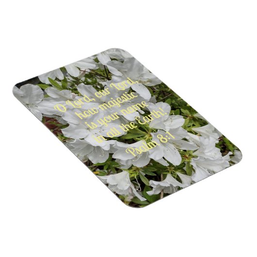 Psalm 8:1 O Heer, onze Heer, hoe majestueus is Magneet (Rechterzijde)