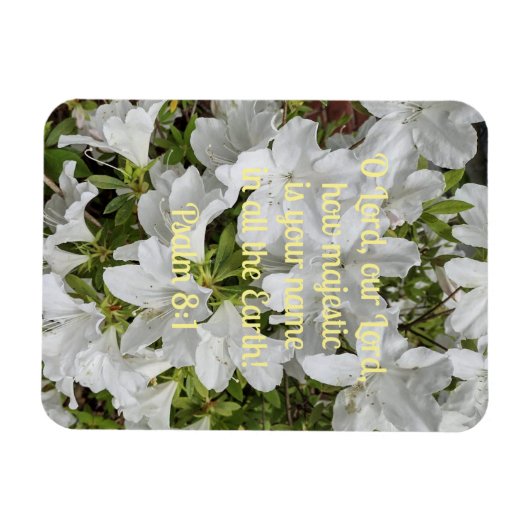 Psalm 8:1 O Heer, onze Heer, hoe majestueus is Magneet (Horizontaal)