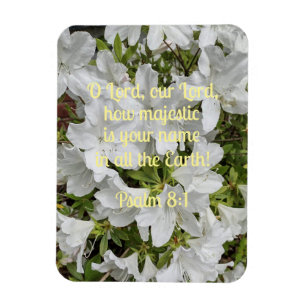 Psalm 8:1 O Heer, onze Heer, hoe majestueus is Magneet