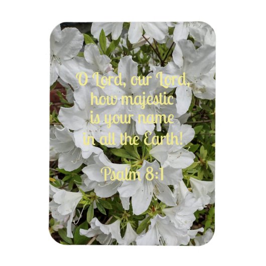 Psalm 8:1 O Heer, onze Heer, hoe majestueus is Magneet (Verticaal)