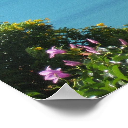 Psalm 8:1 O Heer, onze Heer, hoe majestueus is Poster (Hoek)