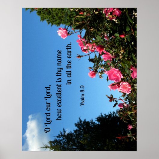 Psalm 8:9o Heer onze Heer, hoe uitstekend zijn jul Poster (Voorkant)