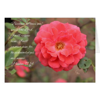 Psalm 91:14 Pachy Pink Rose Kaart