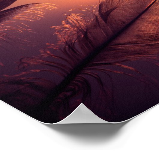 Psalm 91:4 Hij zal je bedekken met zijn vaders Poster (Hoek)