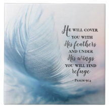Psalm 91:4 Hij zal je bedekken met zijn vaders