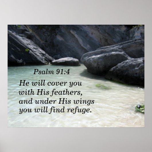 Psalm 91:4 Hij zal je bedekken met zijn veren Poster (Voorkant)