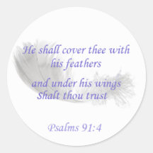 Psalm 91:4 Hij zal u met Zijn vleugels dekken